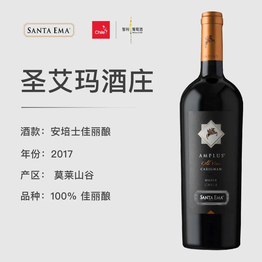 Wine|智利葡萄酒大师班来啦！与葡萄酒大师朱简一起品鉴佳酿