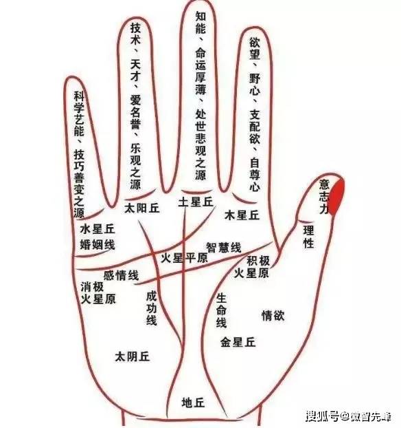 手上有直觉线 花星的人 容易一夜暴富 手相 手上有直觉线 花星的人 容易一夜暴富 手相