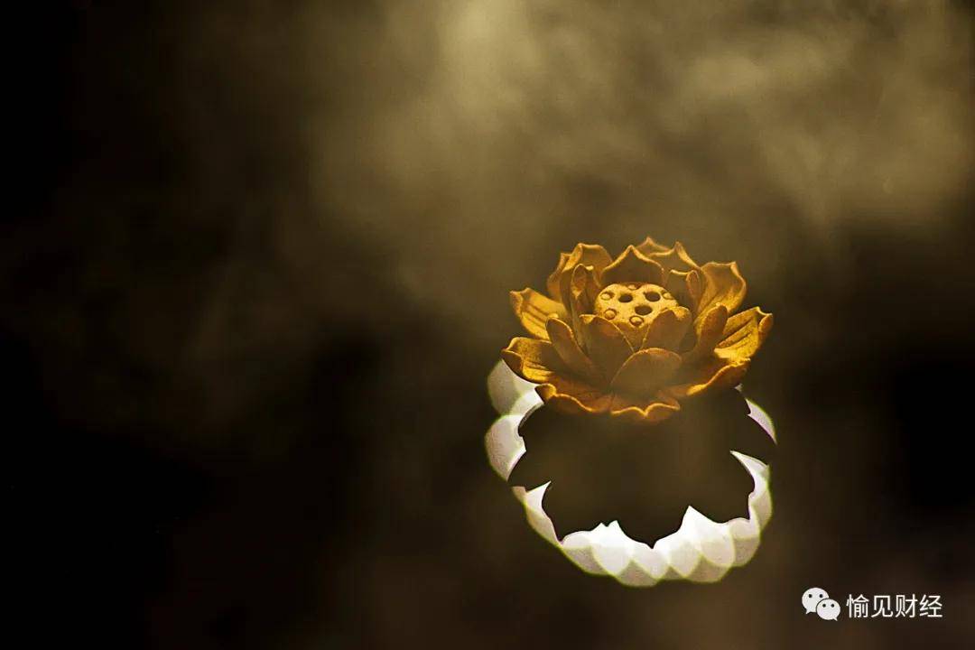 脑力|如何重拾“专注”的能力？