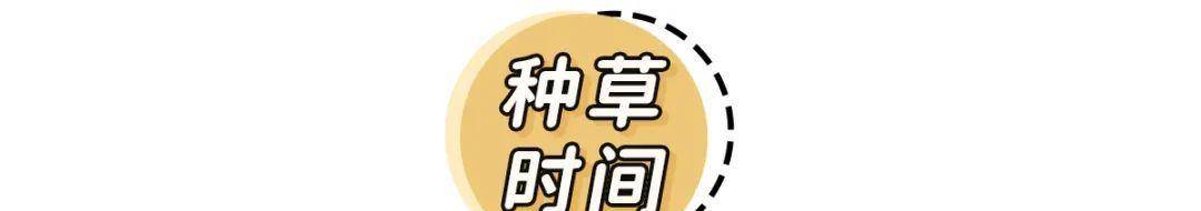 短裙 露脚踝不如“露袜子”！这些高颜值巨保暖，10块钱买一堆！
