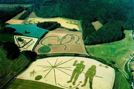 麦田怪圈的真相 跟外星人究竟有无关系 科学家 难说 形状 全网搜