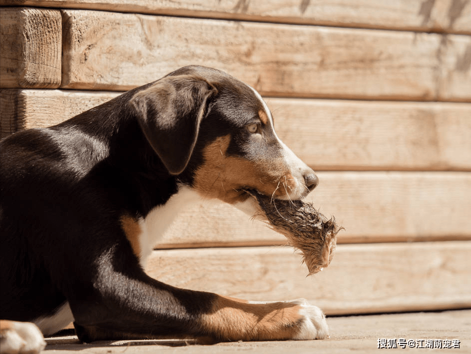 f492b8dd366a4ceab6054549022d9555.png