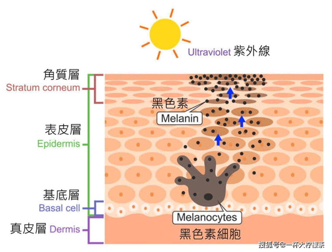 产品你确定你的美白方法用对了吗？天生冷白皮是这样养出来的