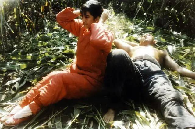 海市蜃楼|80年代十大“现象”佳片，《少林寺》1.6亿，《红高粱》获奖无数？