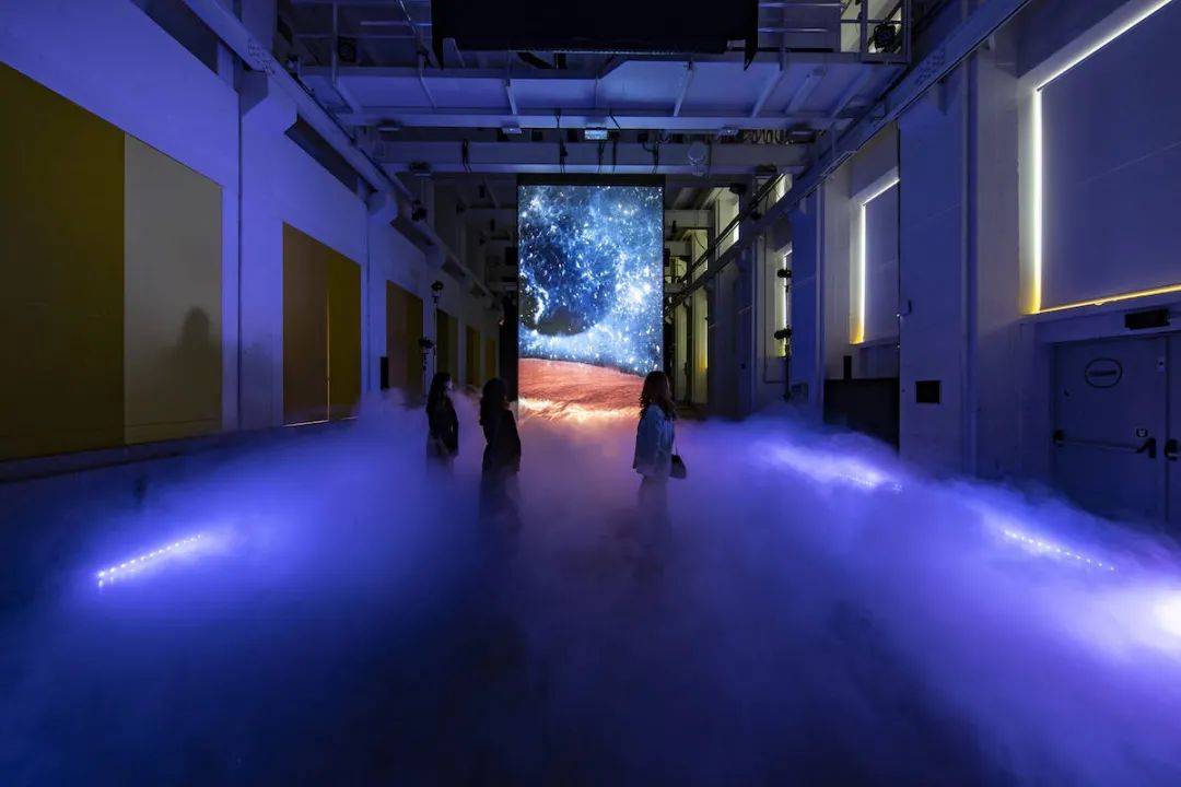 Wine|Falling Dreams｜一场葡萄酒与艺术的感官体验