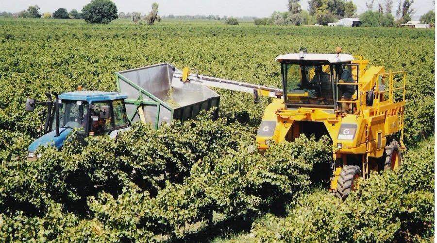 等级|想要买到可以“陈年”的葡萄酒？了解这7个方面，保证你不被忽悠