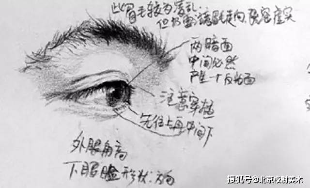 素描校尉美术：素描五官详解，看完这篇搞定素描头像！