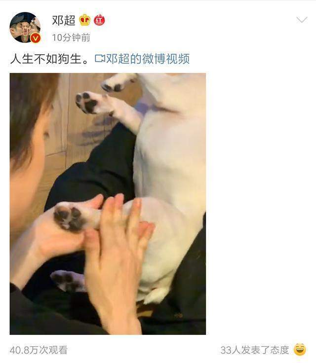 救助孙俪带儿女路边摆摊义卖，救助流浪动物获点赞，但商品定价惹争议