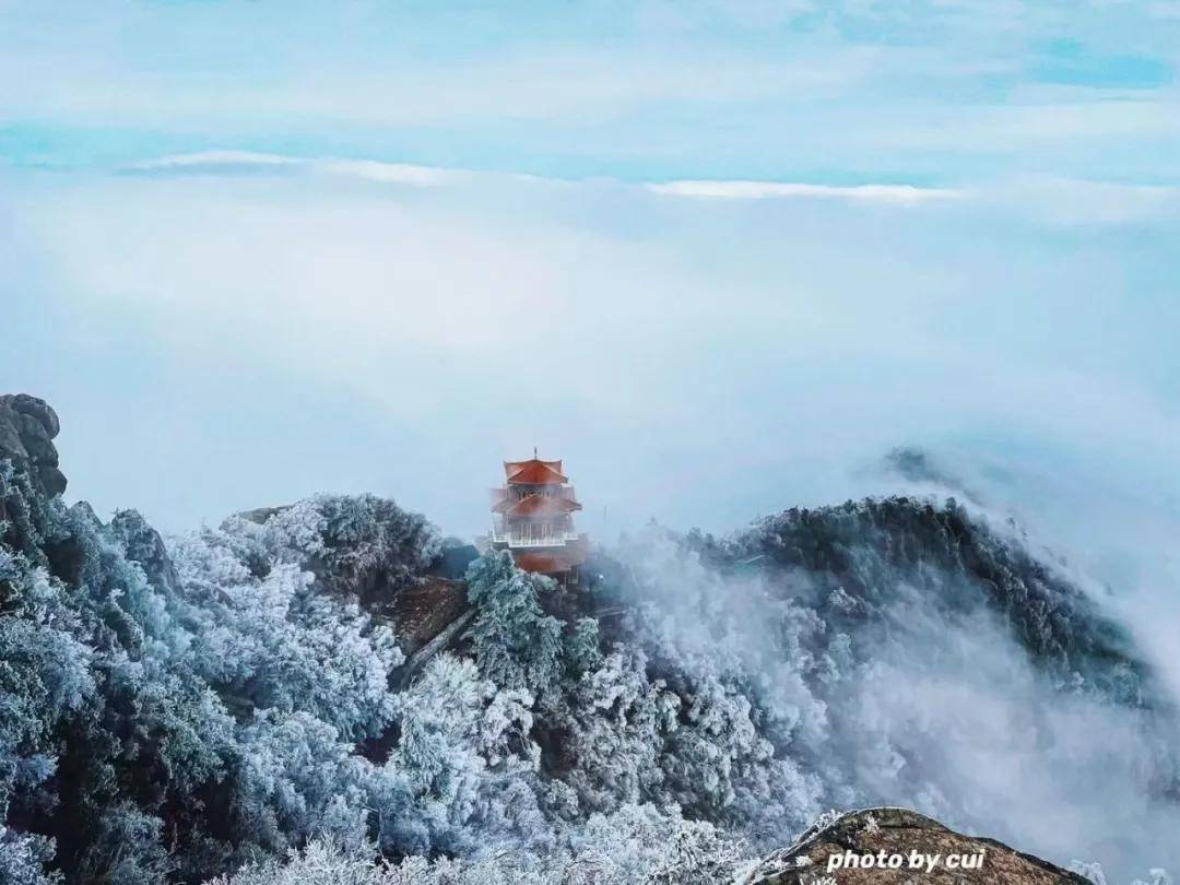 秋景雪景争相斗艳洛阳白云山迎来今年秋天的第二场雪