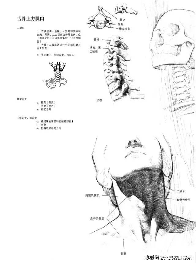 头像校尉美术：素描头像的画法需要注意哪些问题呢？