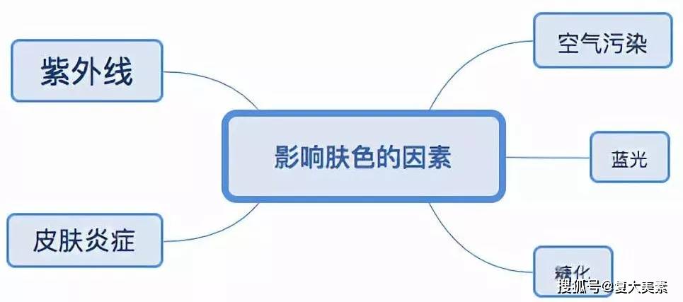 因为几大热门美白成分怎么选?一篇给你讲清楚