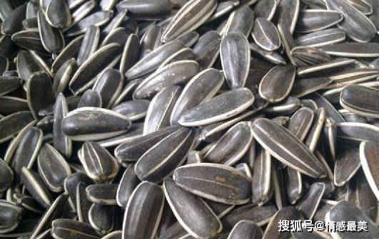 食品|怀孕后,有些“零食”建议孕妇常食用,能缓解贫血,促进宝宝生长