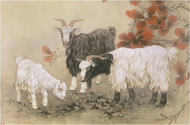 家有羊羊的"晚年宿命",下半辈子指望谁!