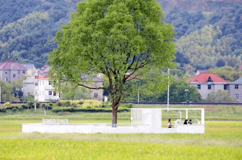 安文旅|大杭州乡村的下一个网红，会是她吗？来，一起来九宫格，晒一晒赛一赛！