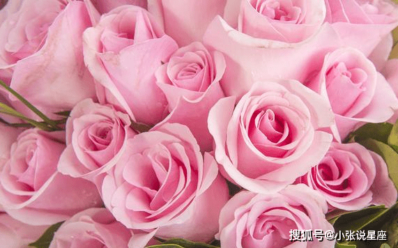 这三大生肖女 旺夫旺家 娶了能由穷转富 家财万贯 肖鼠 全网搜