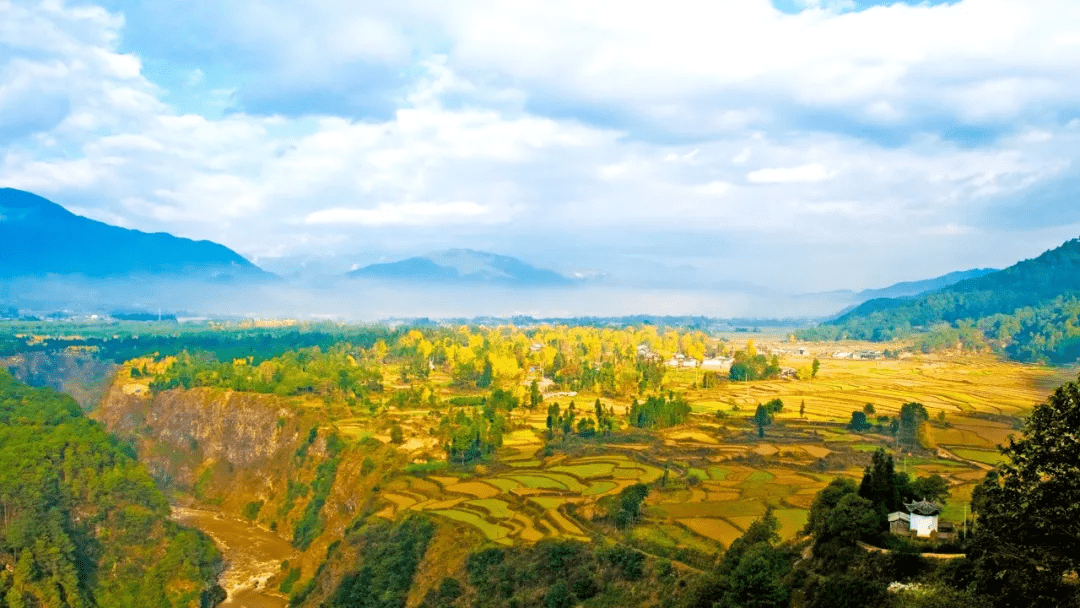 历史|【国家AAA级景区】腾冲江东银杏村景区