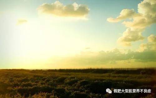 肩胛|一秒看懂:进行性肌营养不良