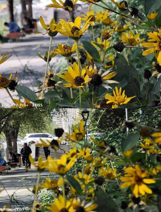 vivo X70 pro +测评：从消费者的实际使用需求去寻求技术突破口