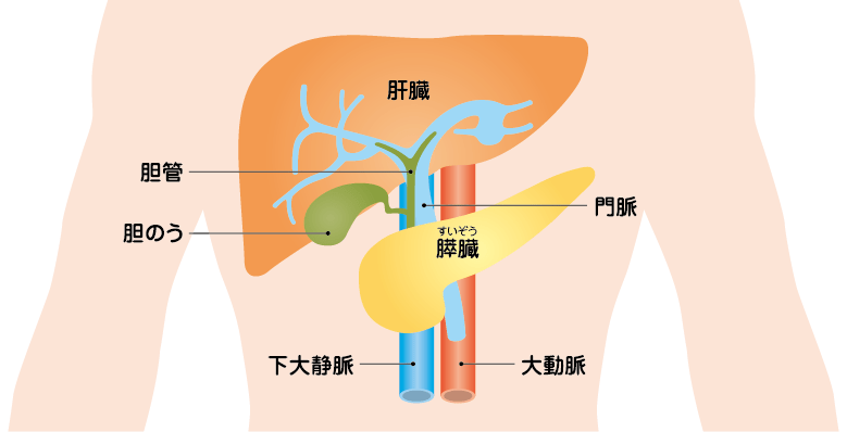 jmt日本出国就医