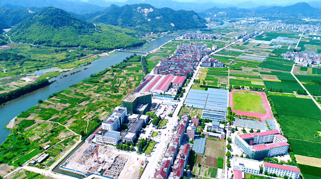 缙云:陌上东方颜如玉 强村公司促村强_东方镇