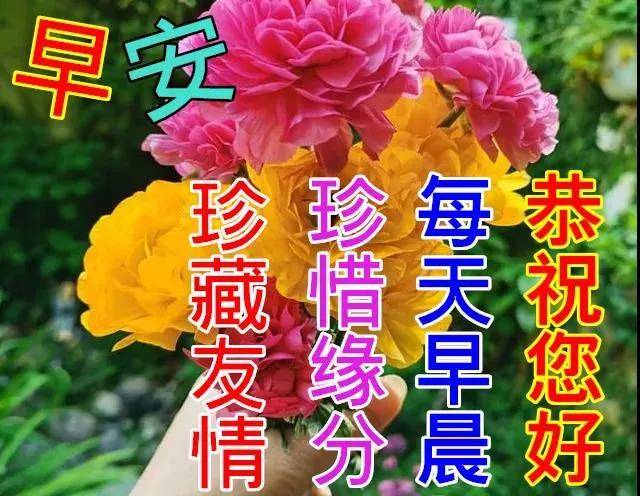 原創7張好看唯美的鮮花早上好動態圖片帶字秋日早安圖片祝福問候句子