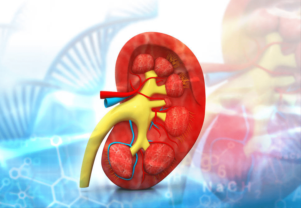 治疗|什么是膜性肾病？膜性肾病是怎么引起的？