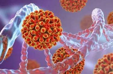 进行|乙肝病毒感染为什么很难彻底治愈？