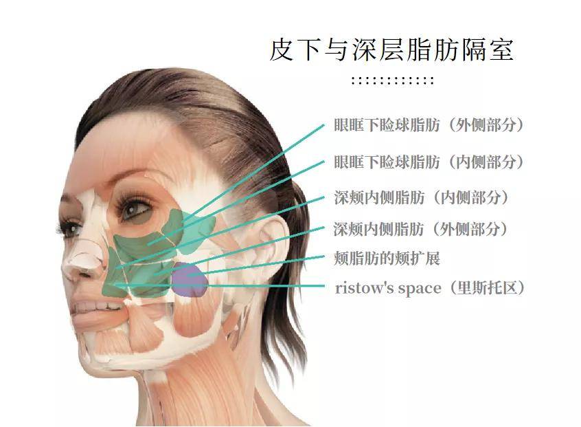 颧骨拉垮颜值的“印第安纹”，终于找上了95后