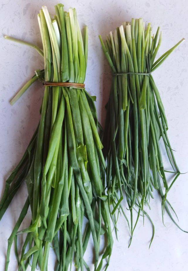 瓜瓜豆豆 山珍野菜 丽江菜市场里的生物多样性 才叫牛 洋芋 全网搜