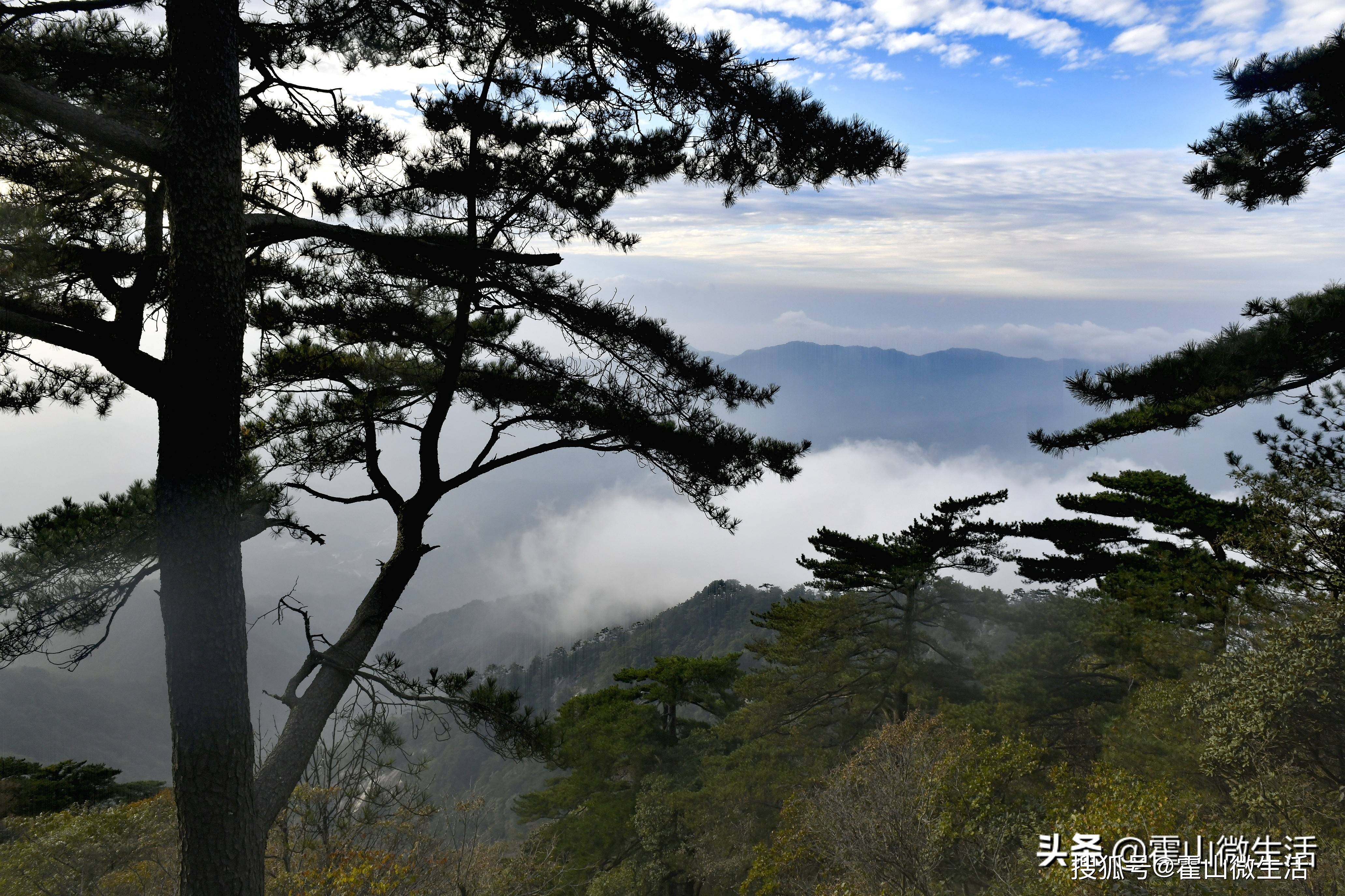 松风鸟鸣齐欢唱,云海夕阳共婆娑.