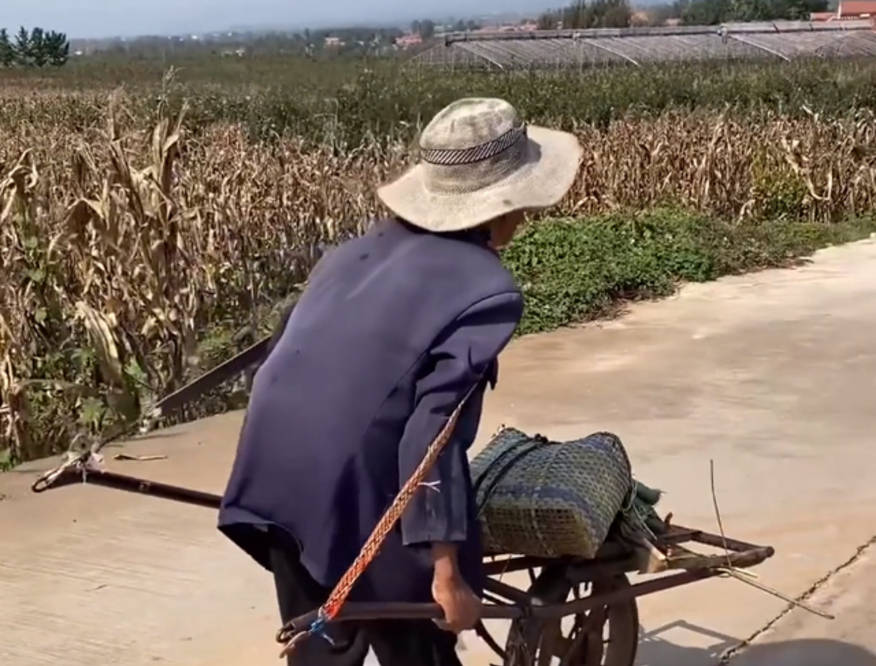 原創山東孫子假期結束88歲爺爺推來一車菜裝滿後備箱滿滿都是愛