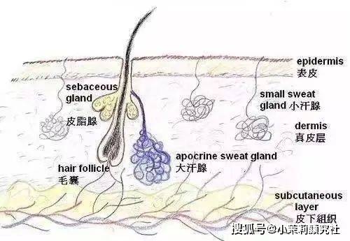 茉莉科普【小茉莉科普】各类皮肤问题该用什么医美