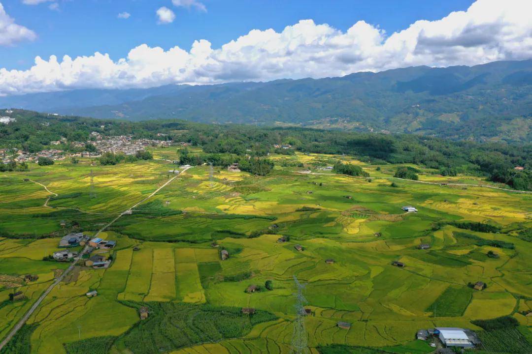 水面|腾冲龙川江峡谷：梯田如画稻谷香