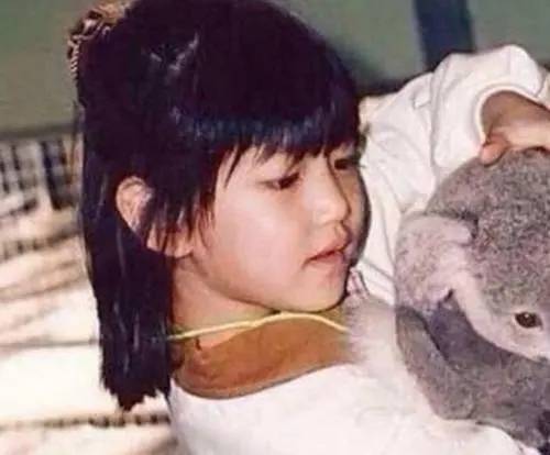 杜海涛|沈梦辰:主持出道与男友撒实名狗粮爆红,曾在节目中现了“原形”