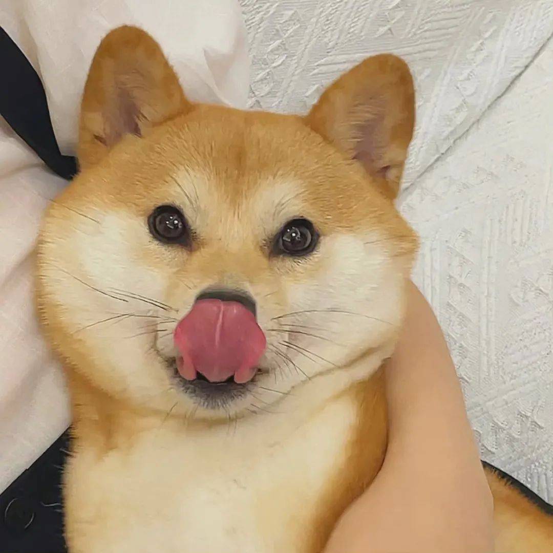 单身汪的可爱头像