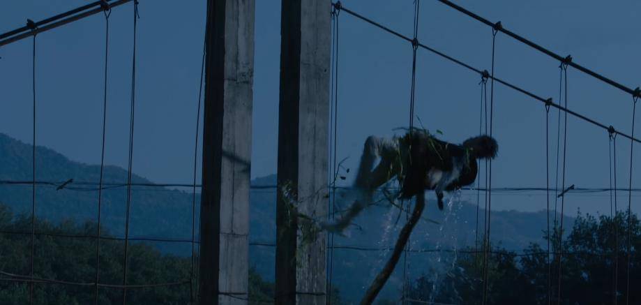 丘山|司藤：白英的计划已经逐渐明了，司藤正在朝着白英预料的方向发展