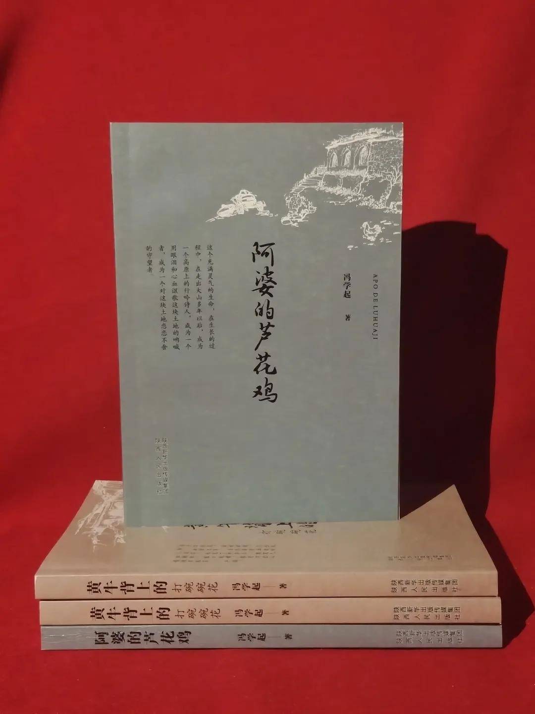 经历|与时光逆行者的背影丨延安职业技术学院作家冯学起新作出版