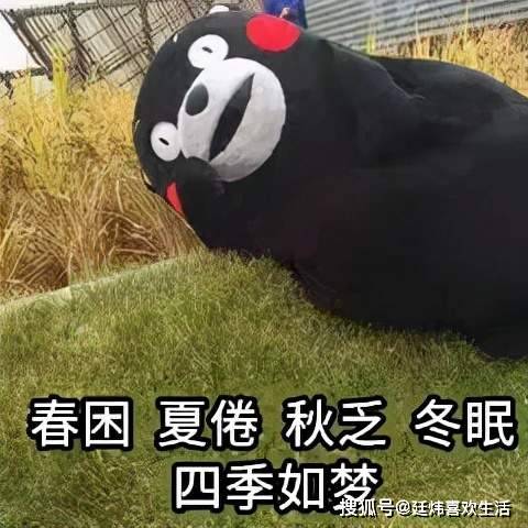 市里|滴滴~冬季窝在被窝里的看剧指南请查收！