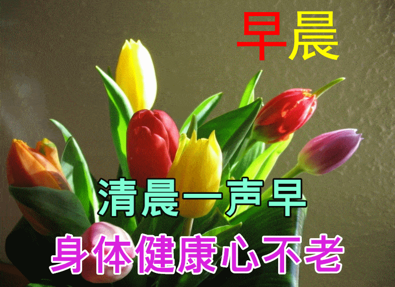 原创8张最新漂亮早晨好问候动态表情鲜花秋天早上好动态表情图片大全