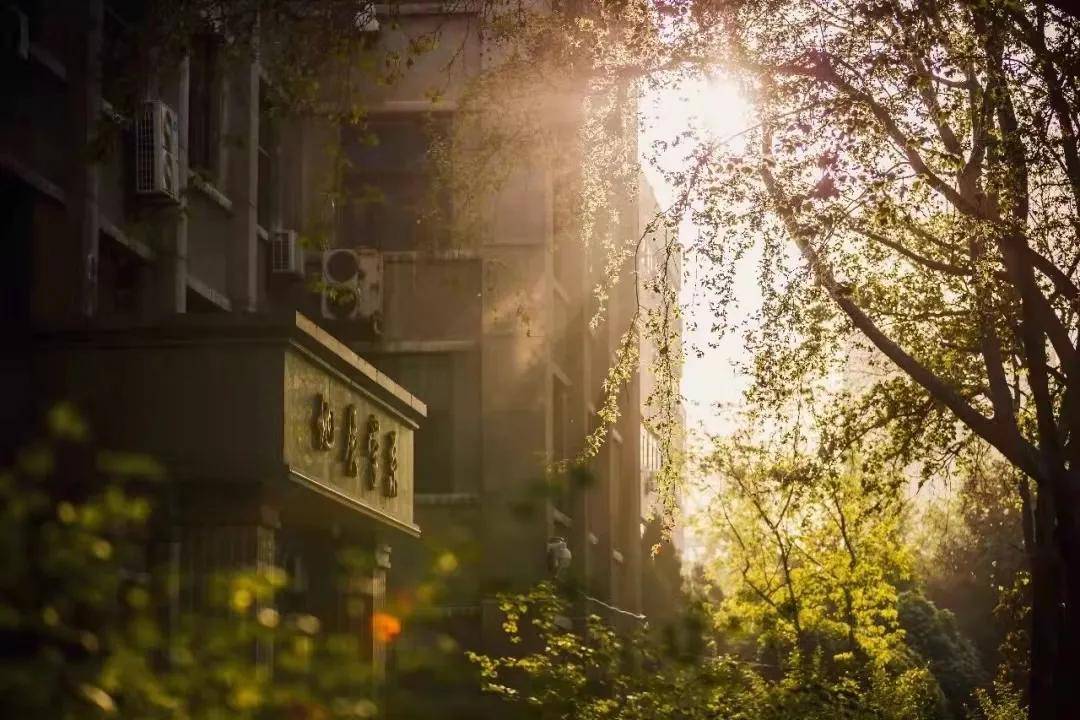 舒德|西北大学博士Nature发文：在陕南镇巴发现地球最早的苔藓虫化石