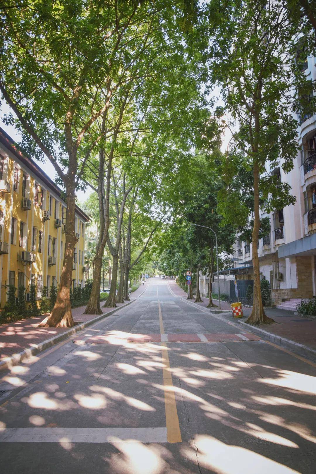 风是|西安翻译学院的风，是什么味道？