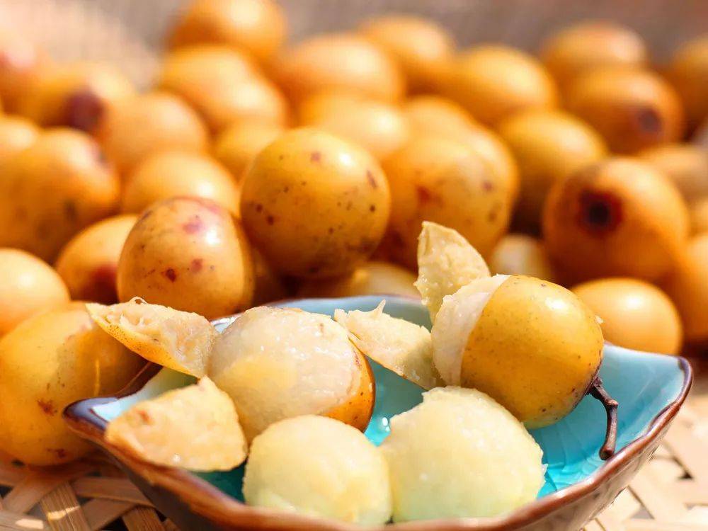 广西,云南,贵州等处,其果实和枣子很像,不过剥开皮之后,若肉上有黏黏