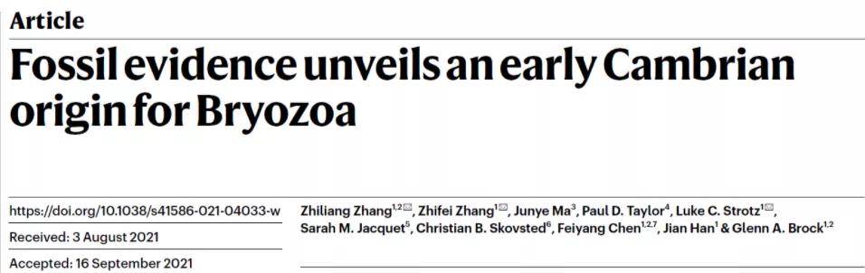 舒德|西北大学博士Nature发文：在陕南镇巴发现地球最早的苔藓虫化石