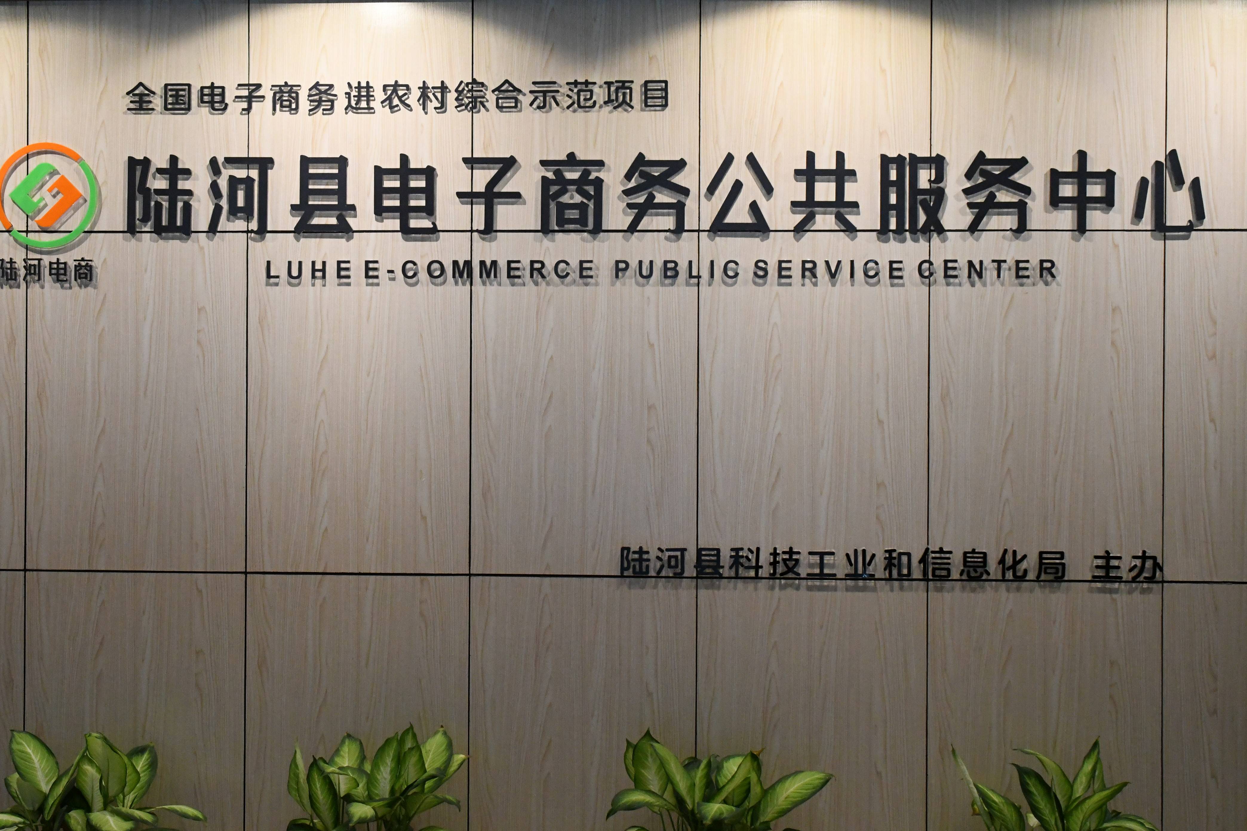 看汕尾市陆河县电子商务公共服务中心怎么说!_雷军
