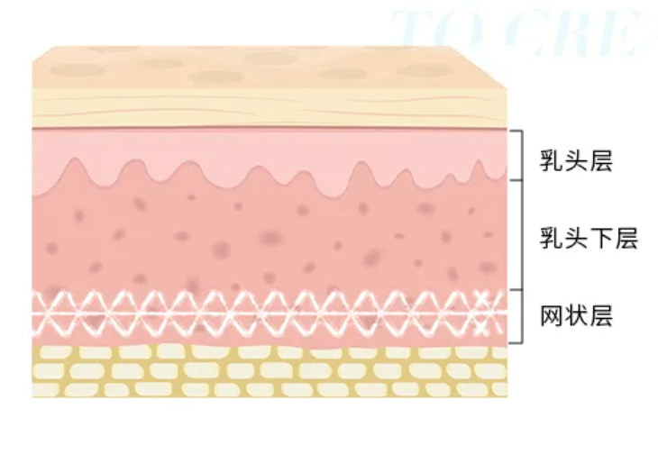 真皮只会这样“补水”，再好的神仙产品也救不了你！