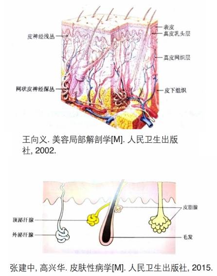 亚洲方里Funny Elves《亚洲肤质白皮书》发布，解析亚欧肤质差异