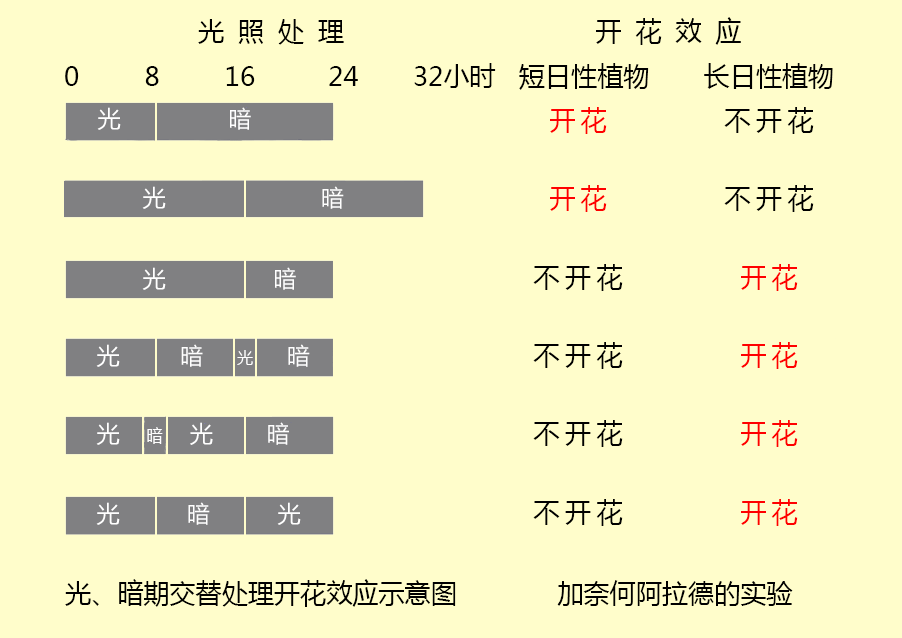 用数据代替经验,关于光照度耕作指导及耕作改善说明_植物