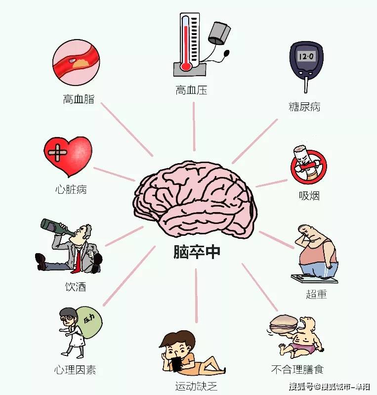 大脑|识别卒中早一秒，挽救大脑恢复好