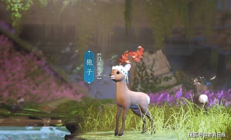 公司|游戏公司有多任性?为了给“亲女儿”做个家,连卫星都用上了