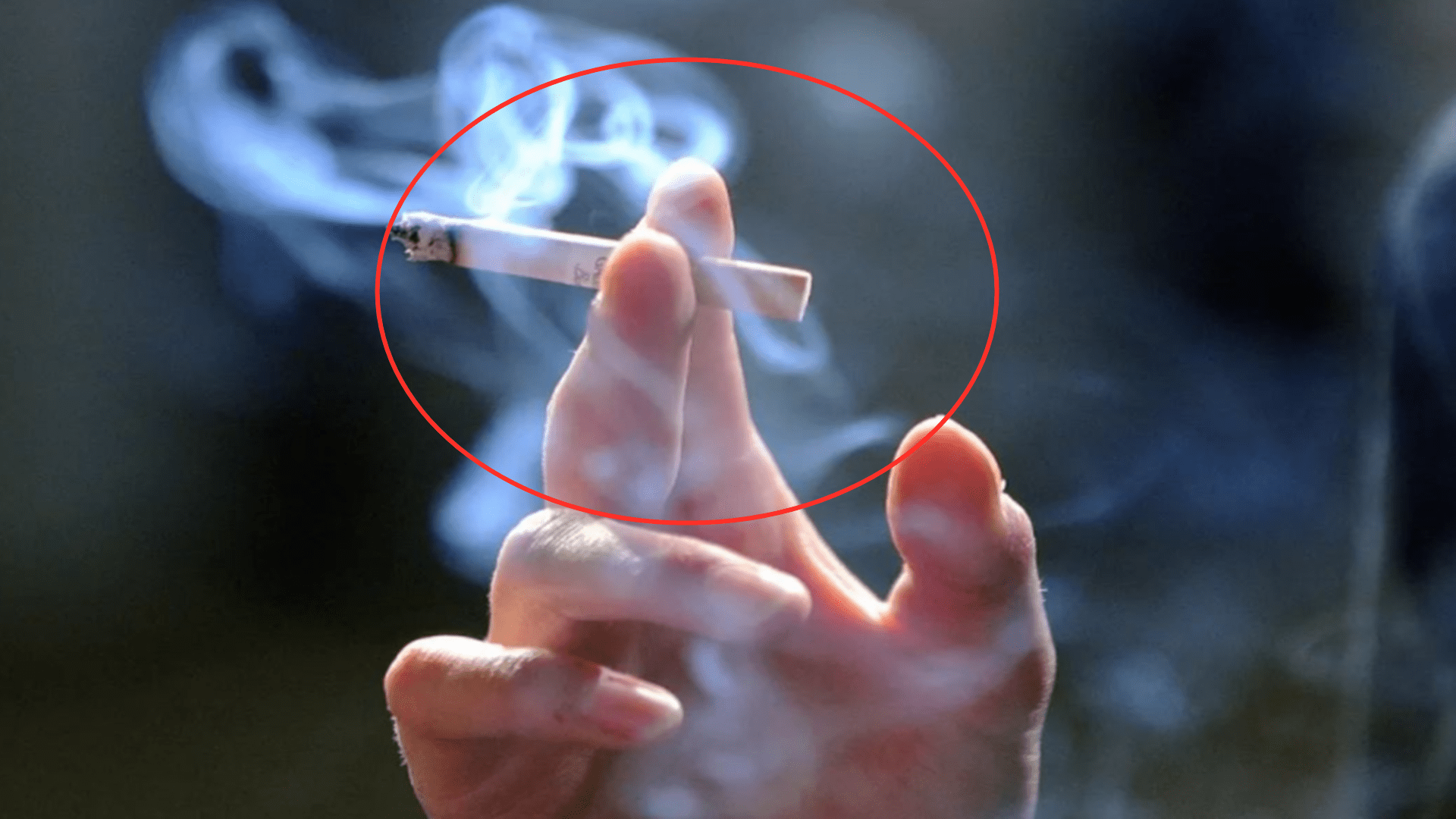 肠道|中老年人别冒险，饭后不做这3件事，可以减少脑梗风险